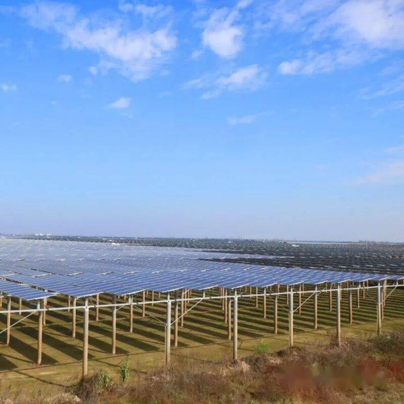 ग्राउंड सोलर माउंटिंग ब्रैकेट मजबूत हवा और बर्फ के भार प्रतिरोध प्रदान करते हैं, जिसमें अद्वितीय ढेर डिज़ाइन और पूर्व-संयोजित घटक शामिल हैं